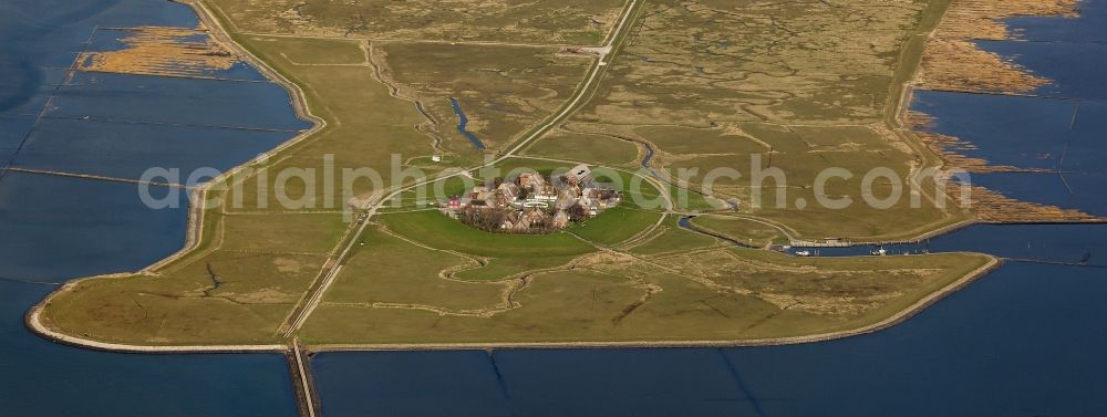 Langeness from the bird's eye view: Green space structures a Hallig Landscape in Oland in the state Schleswig-Holstein, Germany