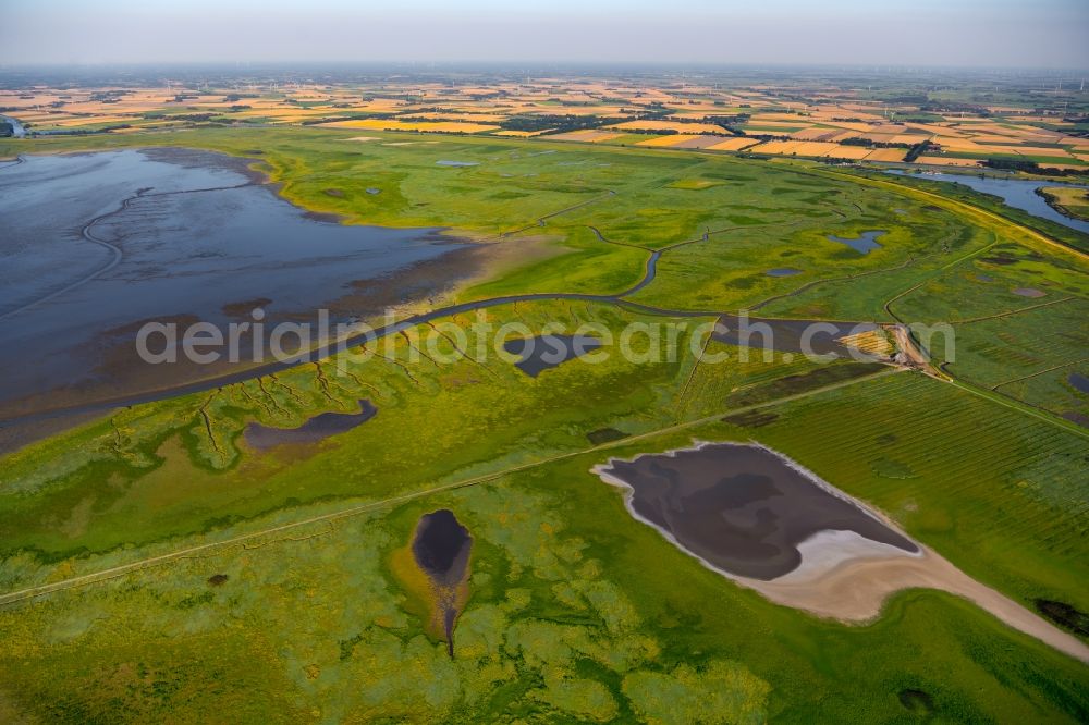 Greetsiel from the bird's eye view: Grass area structures of a salt marsh landscape in Greetsiel in the state Lower Saxony, Germany