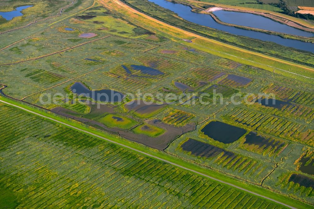 Aerial photograph Greetsiel - Grass area structures of a salt marsh landscape in Greetsiel in the state Lower Saxony, Germany