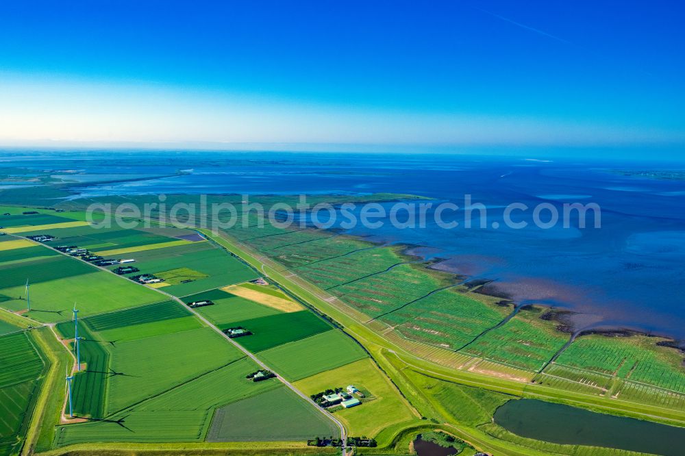 Aerial image Reußenköge - Grass area structures of a salt marsh landscape Ockholm in Reussenkoege in the state Schleswig-Holstein, Germany