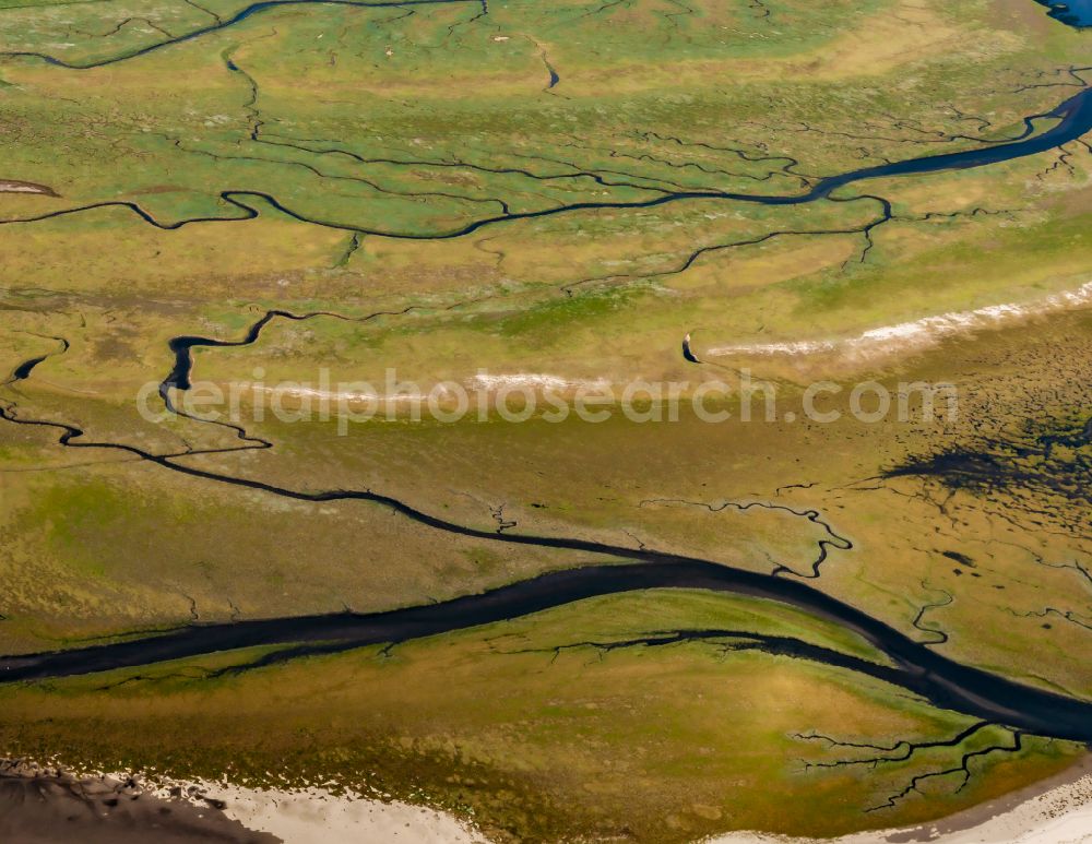 Westerhever from the bird's eye view: Grass area structures of a salt marsh landscape with tidal formation on street Suederdeich in Westerhever in the state Schleswig-Holstein, Germany