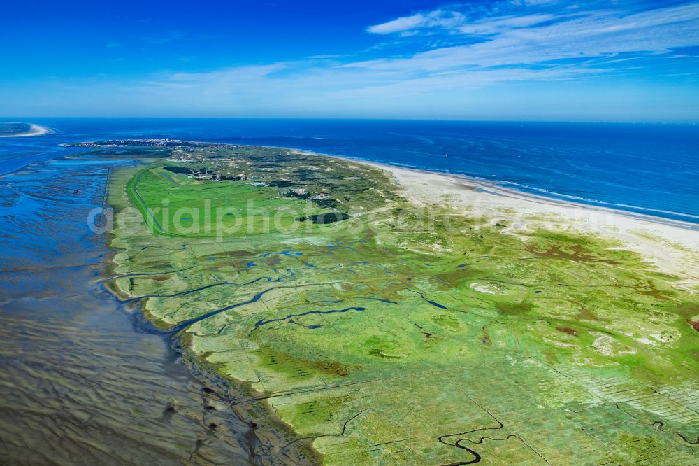 Aerial image Norderney - Grassland structures of a salt marsh landscape southeast coast on the island of Norderney in the state of Lower Saxony, Germany