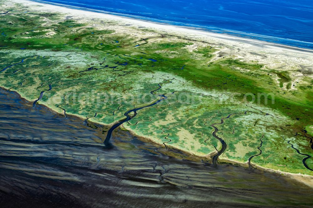Aerial photograph Norderney - Grassland structures of a salt marsh landscape on the south side of the island of Norderney in the state of Lower Saxony, Germanyy