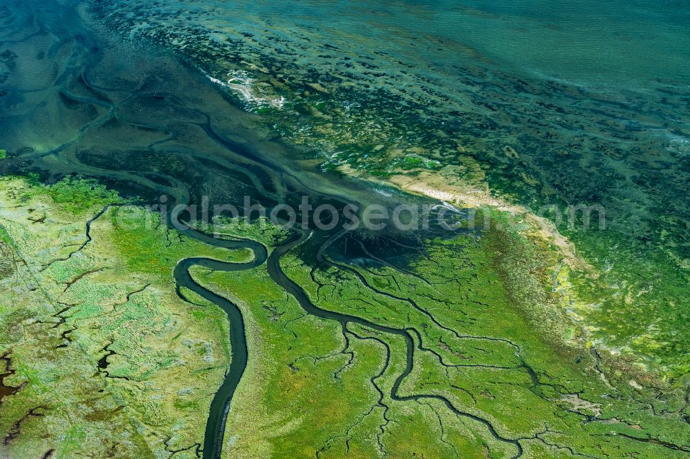 Spiekeroog from above - Grass area structures of a salt marsh landscape in Spiekeroog in the state Lower Saxony, Germany
