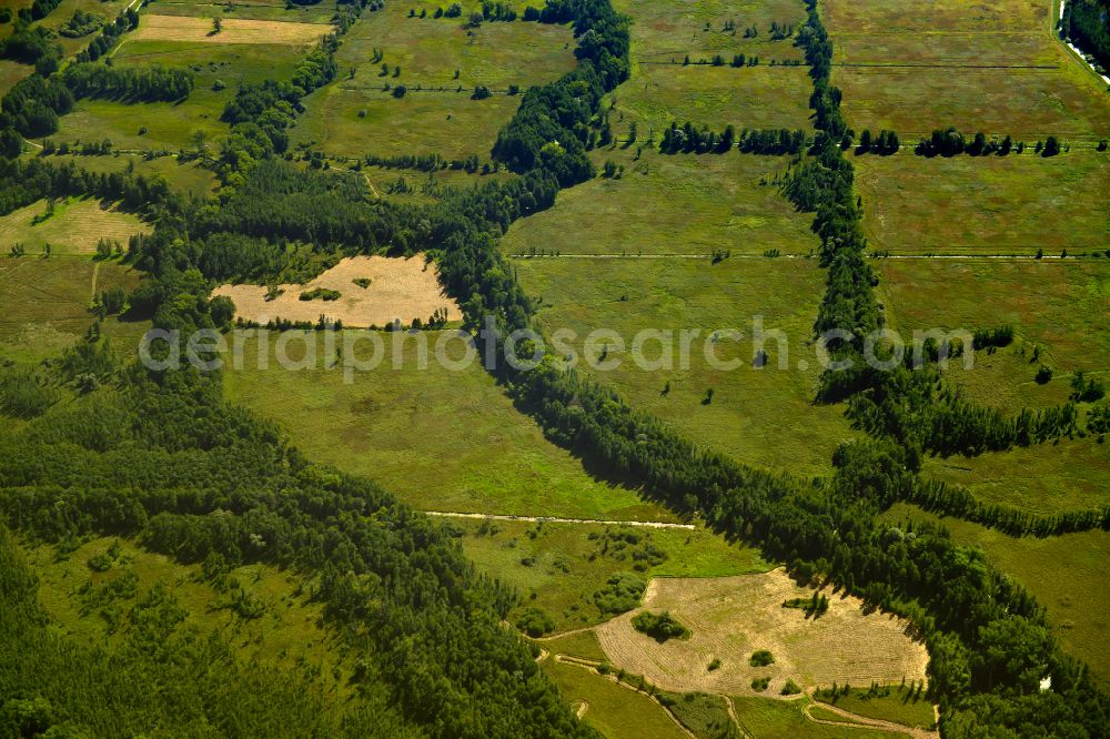 Raddusch from above - Grassy structures of a meadow landscape near Raddusch in the Spreewald in the state Brandenburg, Germany