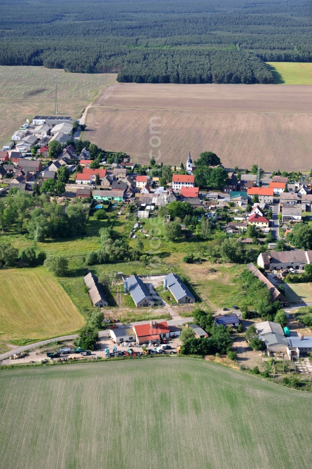 Aerial image Gräfenhainichen OT Schköna - Town scape of Schkoena with the church in the state Saxony-Anhalt