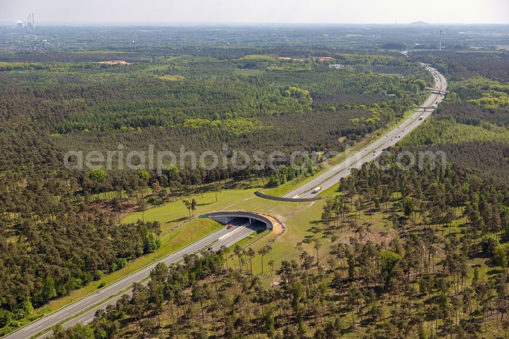 Aerial photograph Schermbeck - Green bridge over the A31 at Schermbeck in the state of North Rhine-Westphalia. Client is the Agency of Roads NRW