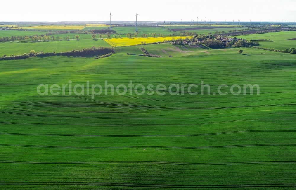 Aerial photograph Carzig - Young green-colored grain field structures and rows in a field in Carzig in the state Brandenburg, Germany