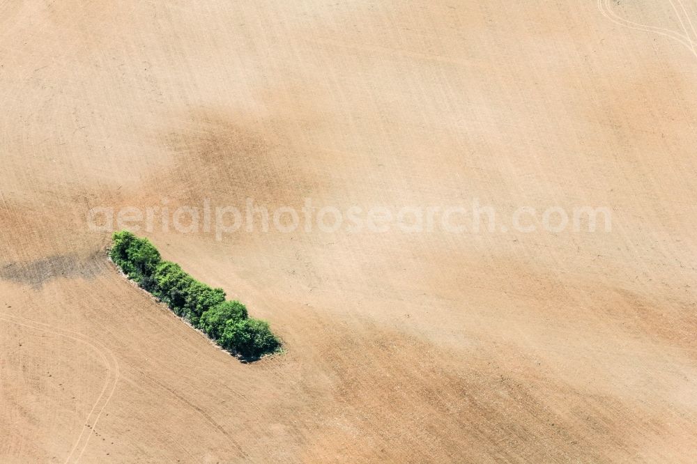 Aerial image Birgland - Green island in a field in Birgland in the state of Bavaria. A green group of trees is located amidst a field and brown agricultural land