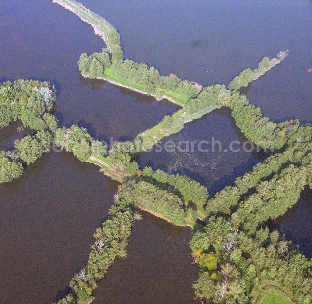 Aerial photograph Bad Liebenwerda - Großer Maasdorfer Teich in der Nähe von Bad Liebenwerda.