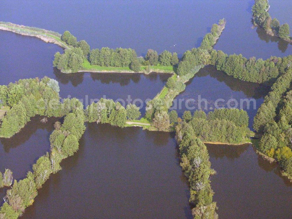 Bad Liebenwerda from above - Großer Maasdorfer Teich in der Nähe von Bad Liebenwerda.