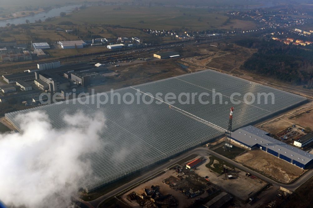 Aerial photograph Lutherstadt Wittenberg - In the district of Wittenberg Apollensdorf the Pieter Van Gog vegetables GmbH built a large greenhouse complex. Future under the glass roof grow 1000s tomato plants. The greenhouse is supplied with the waste heat of the nearby Agro-Chemical Park Piesteritz