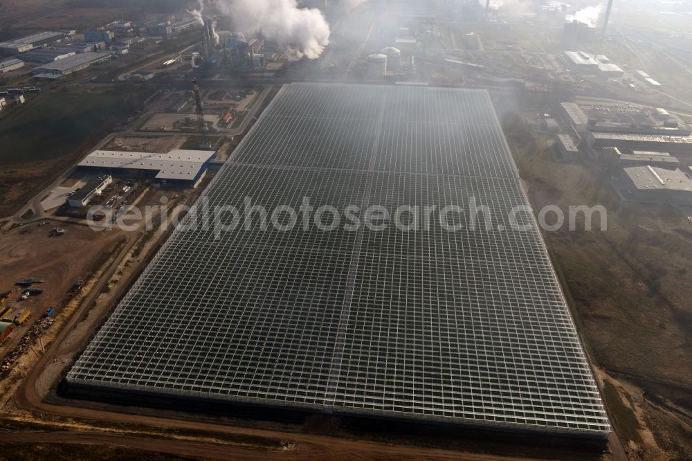 Lutherstadt Wittenberg from above - In the district of Wittenberg Apollensdorf the Pieter Van Gog vegetables GmbH built a large greenhouse complex. Future under the glass roof grow 1000s tomato plants. The greenhouse is supplied with the waste heat of the nearby Agro-Chemical Park Piesteritz