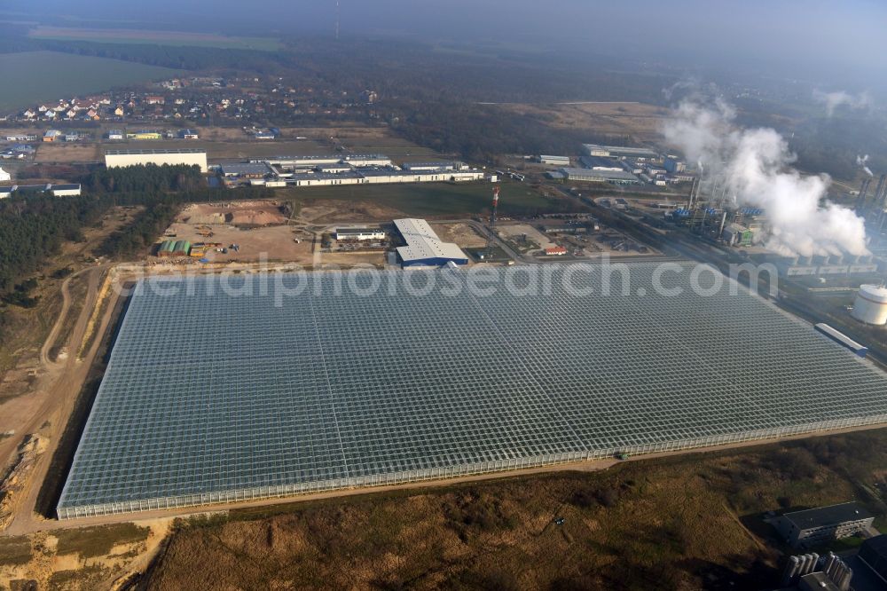 Lutherstadt Wittenberg from the bird's eye view: In the district of Wittenberg Apollensdorf the Pieter Van Gog vegetables GmbH built a large greenhouse complex. Future under the glass roof grow 1000s tomato plants. The greenhouse is supplied with the waste heat of the nearby Agro-Chemical Park Piesteritz