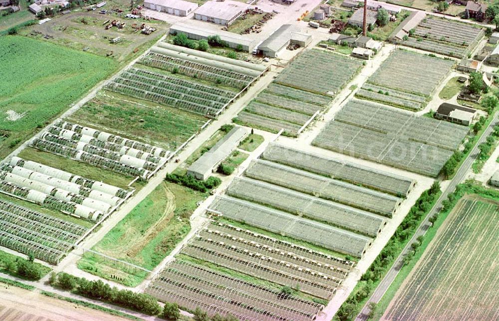 Manschnow / Brandenburg from the bird's eye view: Großgärtnerei Manschnow / Brandenburg.