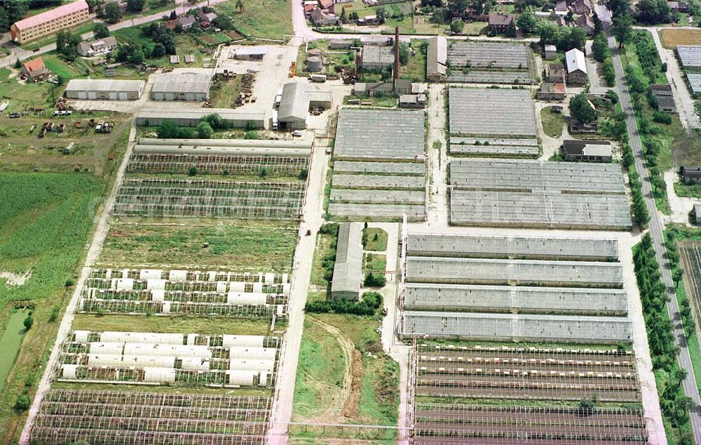 Aerial image Manschnow / Brandenburg - Großgärtnerei Manschnow / Brandenburg.