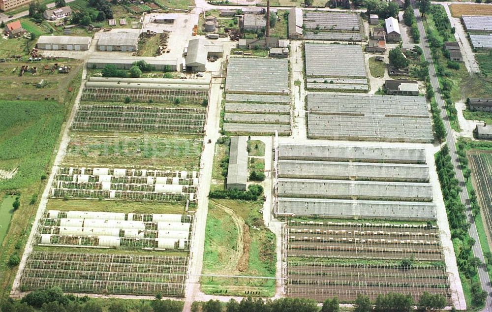 Aerial photograph Manschnow / Brandenburg - Großgärtnerei Manschnow / Brandenburg.