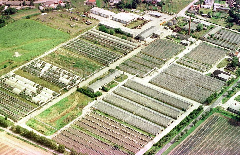 Aerial photograph Manschnow / Brandenburg - Großgärtnerei Manschnow / Brandenburg.