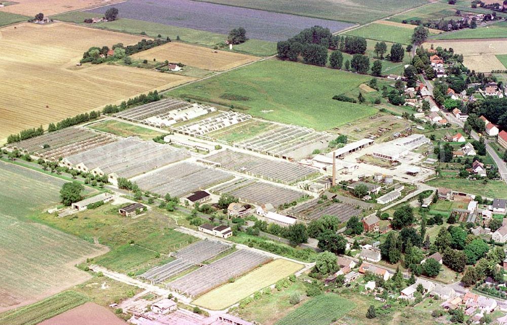 Manschnow / Brandenburg from above - Großgärtnerei Manschnow / Brandenburg.