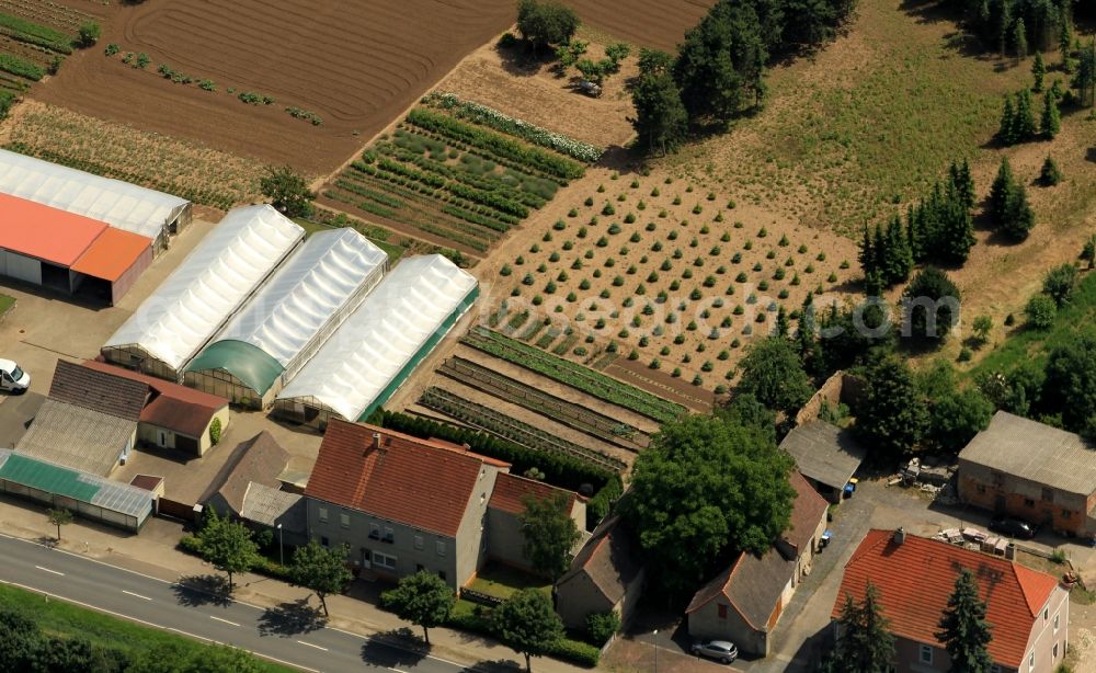 Aerial image Kannawurf - Gardening Vogt in Kannawurf in Thuringia has its greenhouses and operating areas on the highway. The nursery specialist company specializes in bedding plants, fruits and vegetables