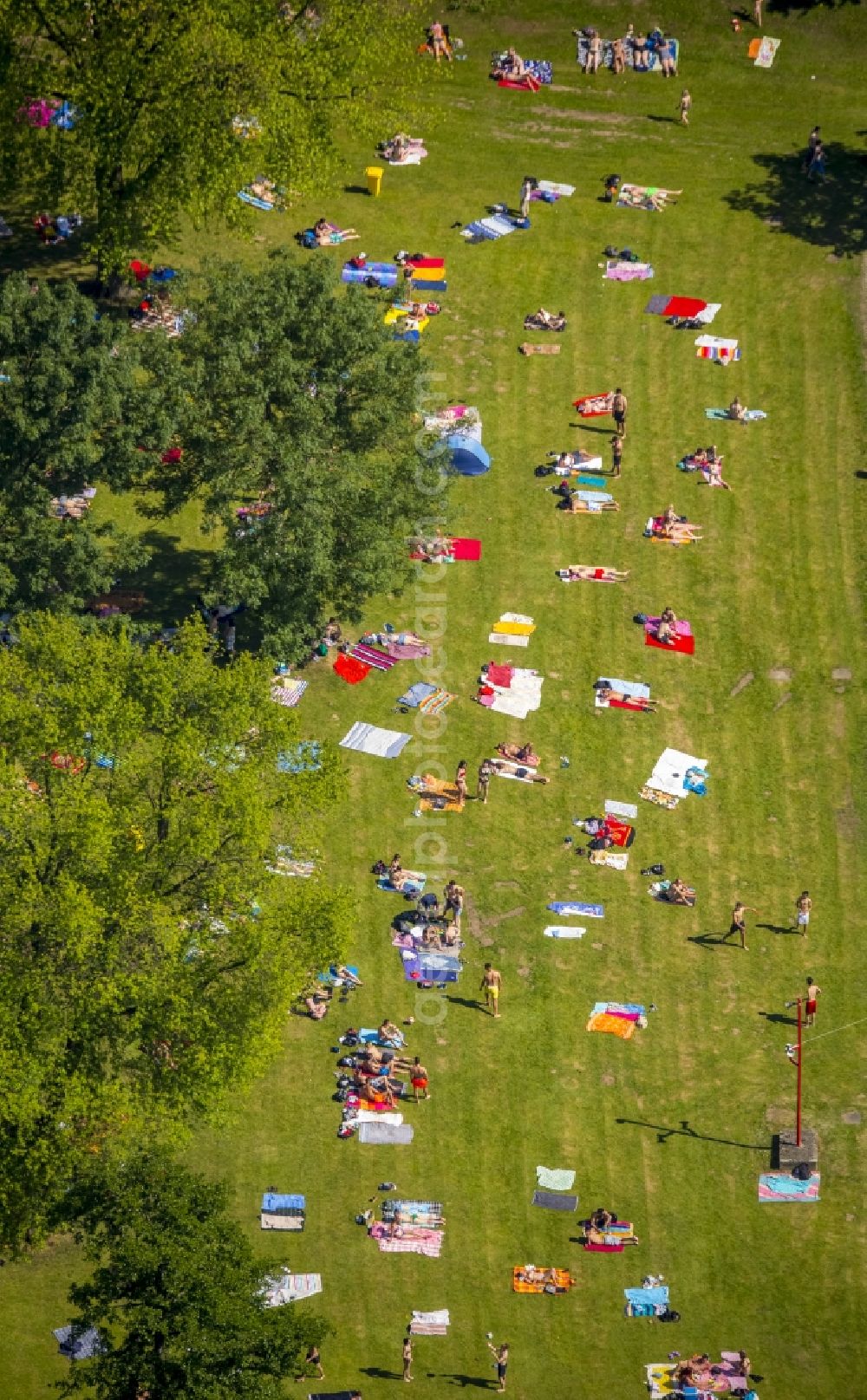 Essen from the bird's eye view: View of the outdoor pool Grugapark in Essen in the state North Rhine-Westphalia