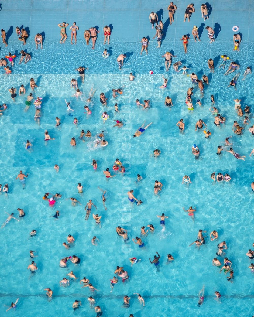 Aerial image Essen - View of the outdoor pool Grugapark in Essen in the state North Rhine-Westphalia