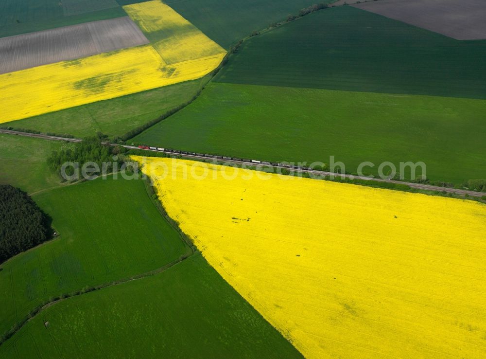 Aerial image Gommern - Freight train and fields near the Proedel part of Gommern in the state of Saxony-Anhalt. The freight train moves along a railway track, which leads past yellow rapeseed fields, outside Proedel