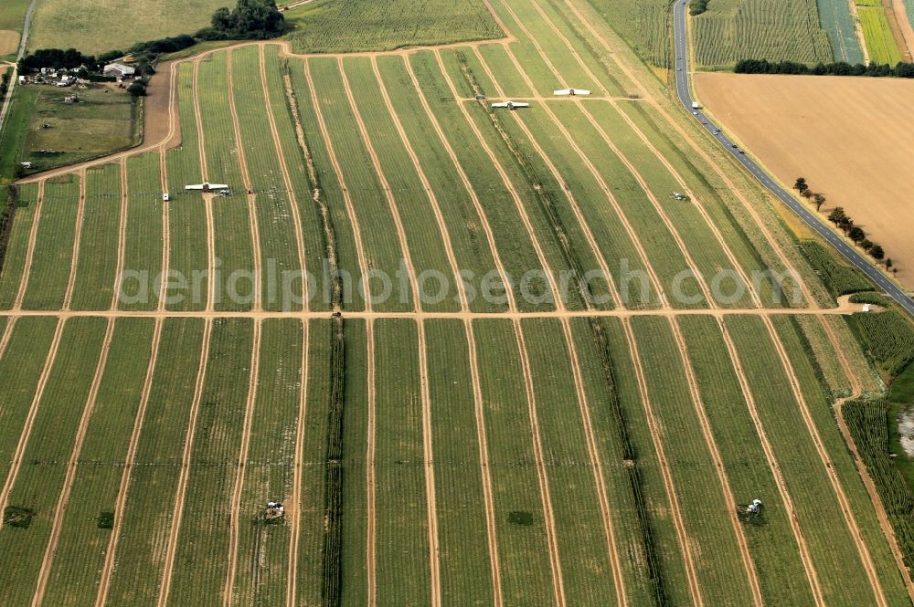 Aerial image Niederdorla - Cucumber harvest of the Hainich Obst - und Gemuese - GmbH in Niederdorla in Thuringia