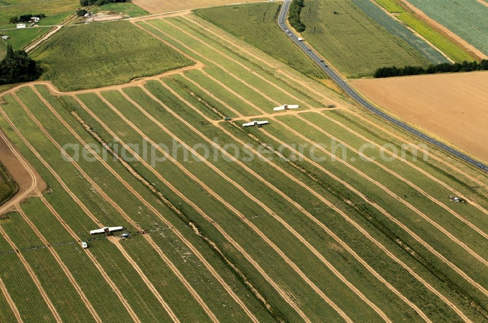 Niederdorla from above - Cucumber harvest of the Hainich Obst - und Gemuese - GmbH in Niederdorla in Thuringia