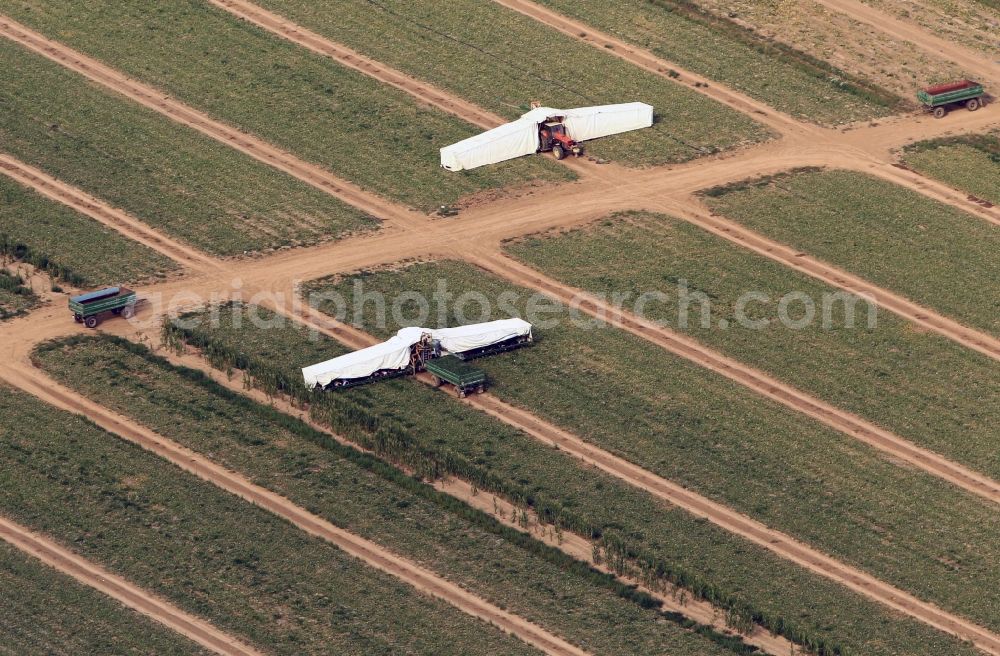 Aerial image Niederdorla - Cucumber harvest of the Hainich Obst - und Gemuese - GmbH in Niederdorla in Thuringia