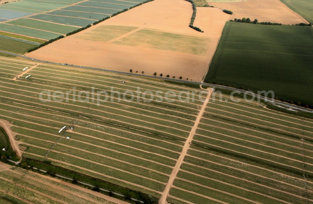 Aerial photograph Niederdorla - Cucumber harvest of the Hainich Obst - und Gemuese - GmbH in Niederdorla in Thuringia