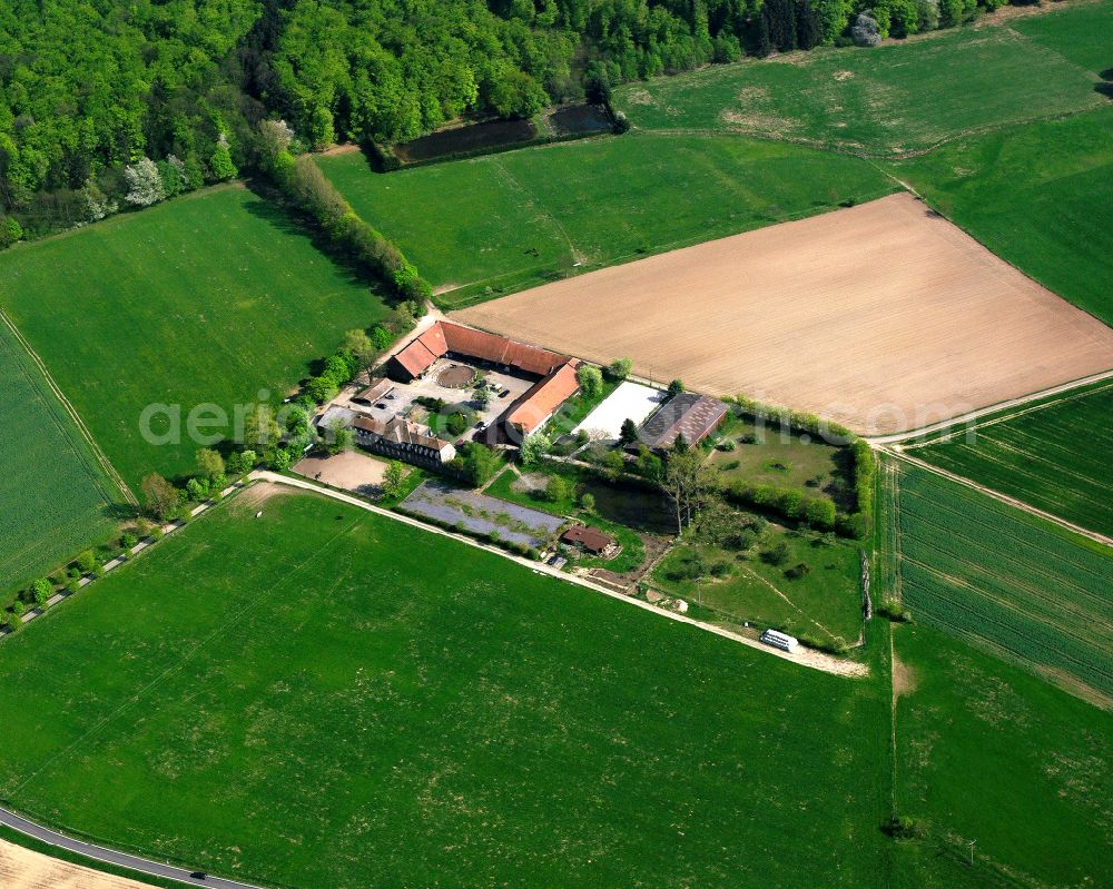 Schotten from above - Historical warehouses and stables, farm buildings and manor house on the edge of agricultural fields Gestuet Jagdschloss Zwiefalten in Schotten in the state Hesse, Germany