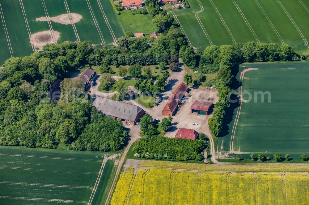 Neukirchen from above - Building and manor house of the farmhouse in Neukirchen in the state Schleswig-Holstein, Germany