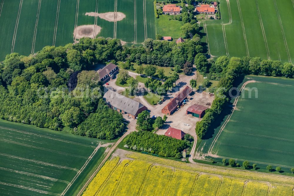 Neukirchen from above - Building and manor house of the farmhouse in Neukirchen in the state Schleswig-Holstein, Germany