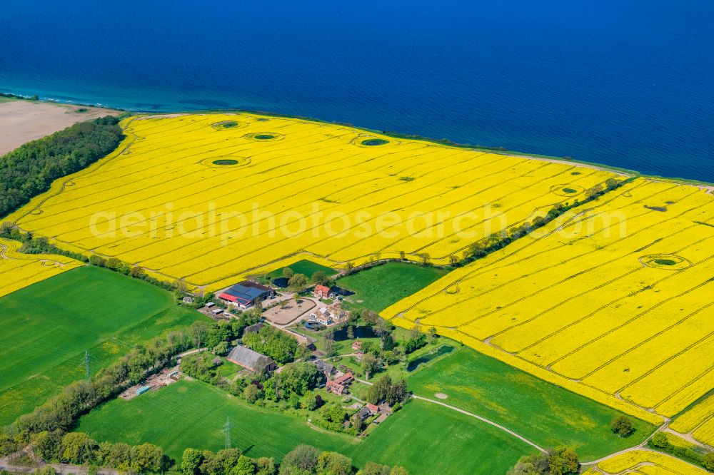 Wangels from the bird's eye view: Building and manor house of the farmhouse on street Gut Friederikenhof in Wangels in the state Schleswig-Holstein, Germany