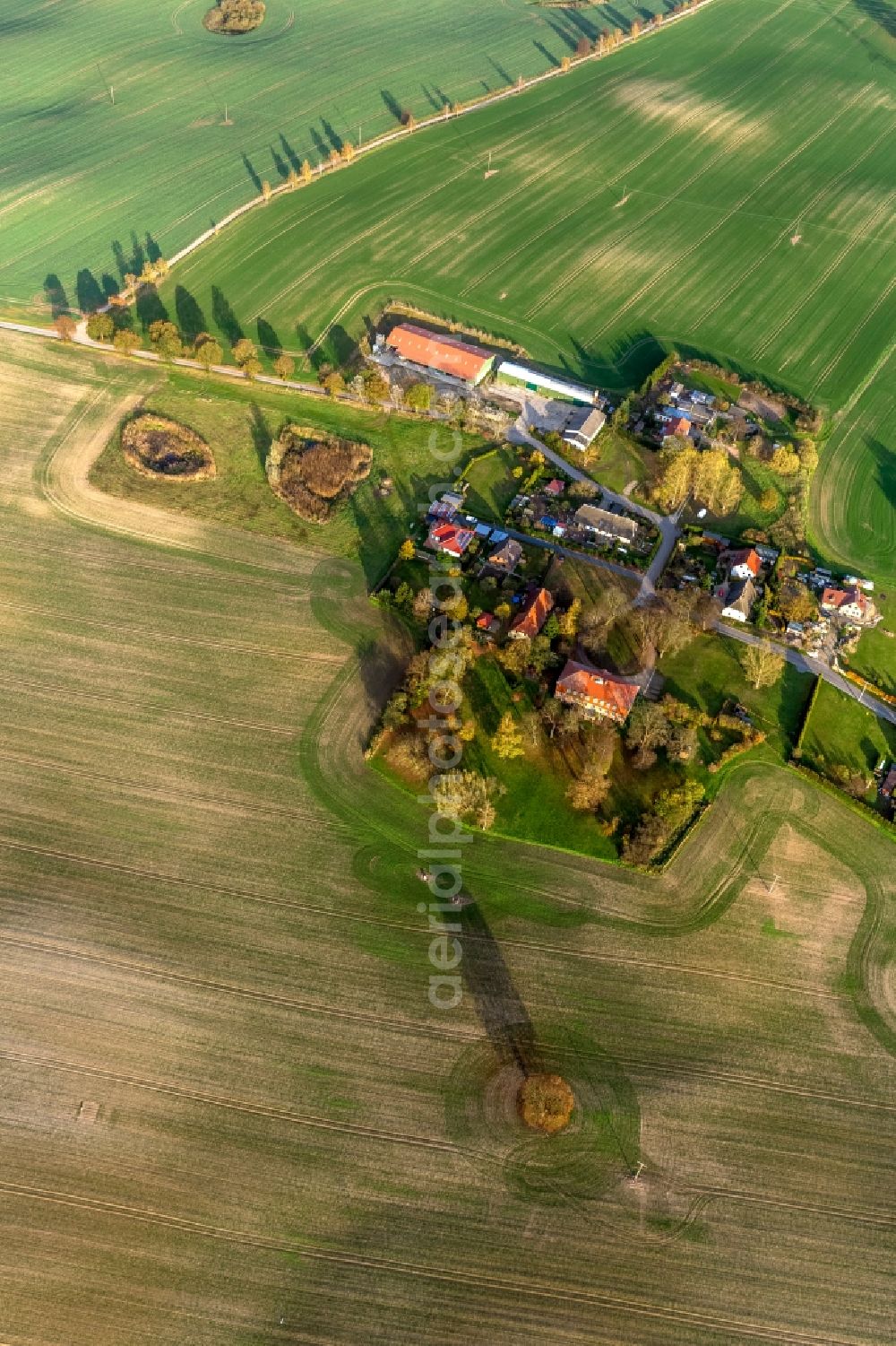 Penzlin from the bird's eye view: View of a big farm in Penzlin in the state Mecklenburg-West Pomerania