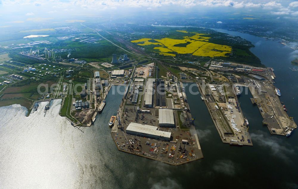 Rostock from the bird's eye view: Port facilities on the shores of the harbor of of Seehafen of ROSTOCK PORT GmbH in the district Peez in Rostock in the state Mecklenburg - Western Pomerania, Germany