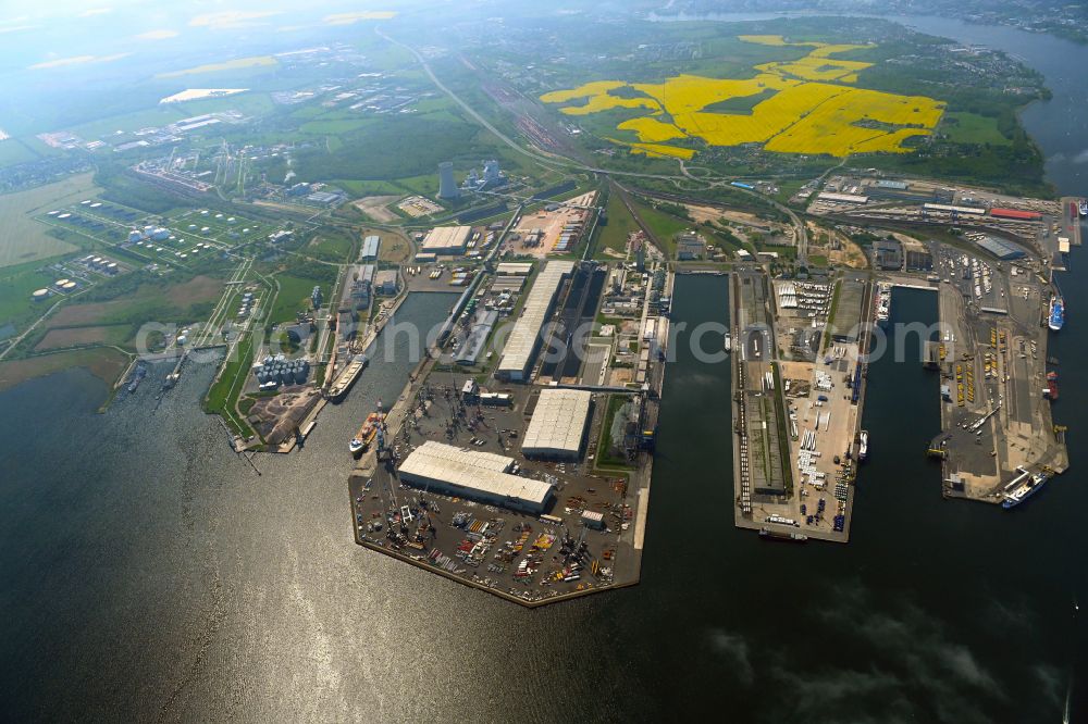 Rostock from above - Port facilities on the shores of the harbor of of Seehafen of ROSTOCK PORT GmbH in the district Peez in Rostock in the state Mecklenburg - Western Pomerania, Germany