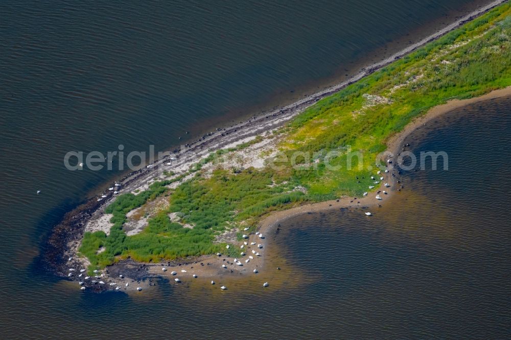 Aerial photograph Wackerbillig - Peninsula with land access and shore area on Geltinger Bucht in Wackerbillig in the state Schleswig-Holstein, Germany