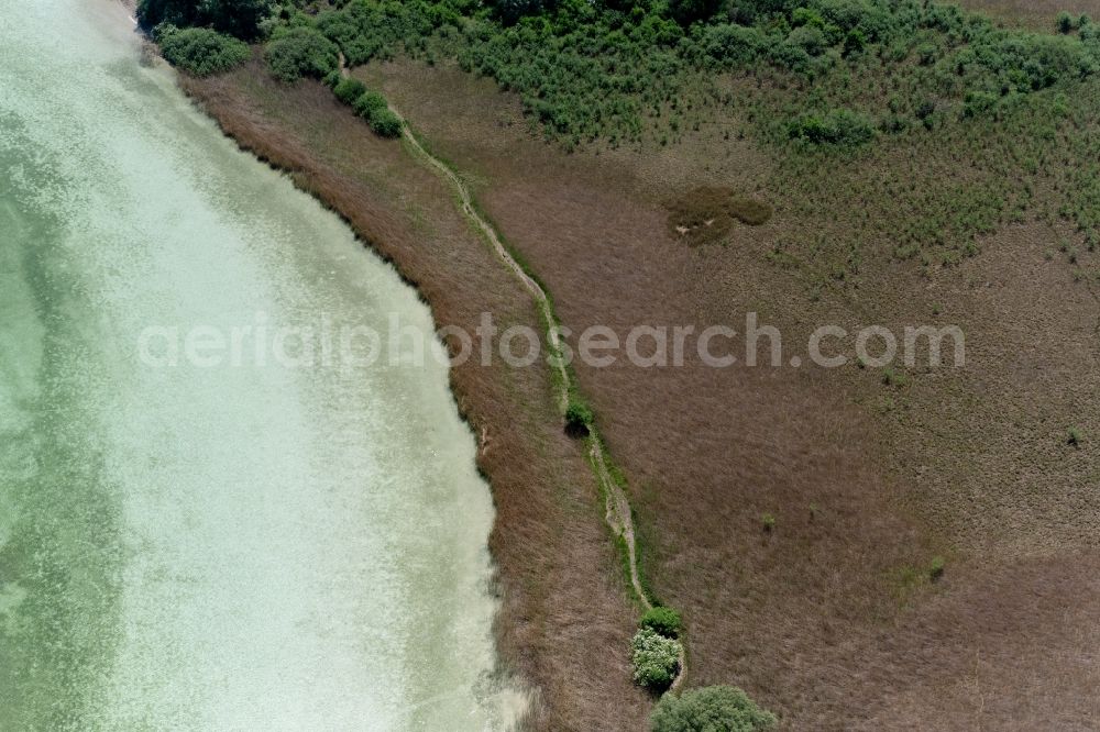 Aerial photograph Radolfzell am Bodensee - Peninsula with land access and shore area in the district Mettnau in Radolfzell am Bodensee in the state Baden-Wuerttemberg, Germany