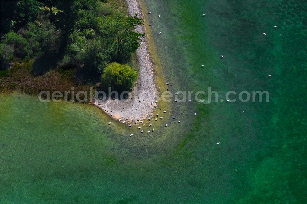 Radolfzell am Bodensee from above - Peninsula with land access and shore area in the district Mettnau in Radolfzell am Bodensee in the state Baden-Wuerttemberg, Germany