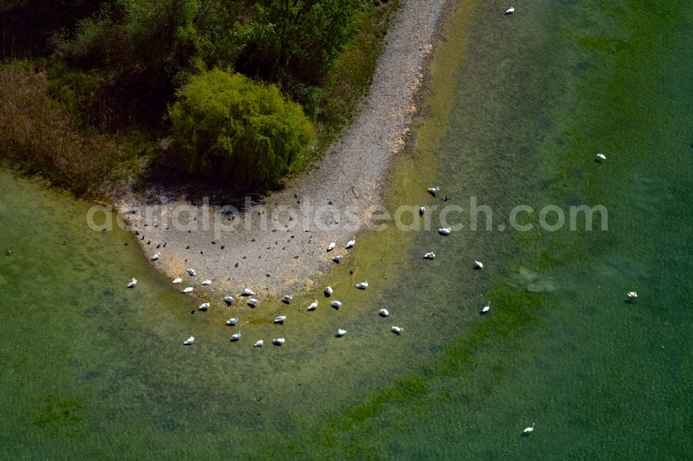 Radolfzell am Bodensee from the bird's eye view: Peninsula with land access and shore area in the district Mettnau in Radolfzell am Bodensee in the state Baden-Wuerttemberg, Germany