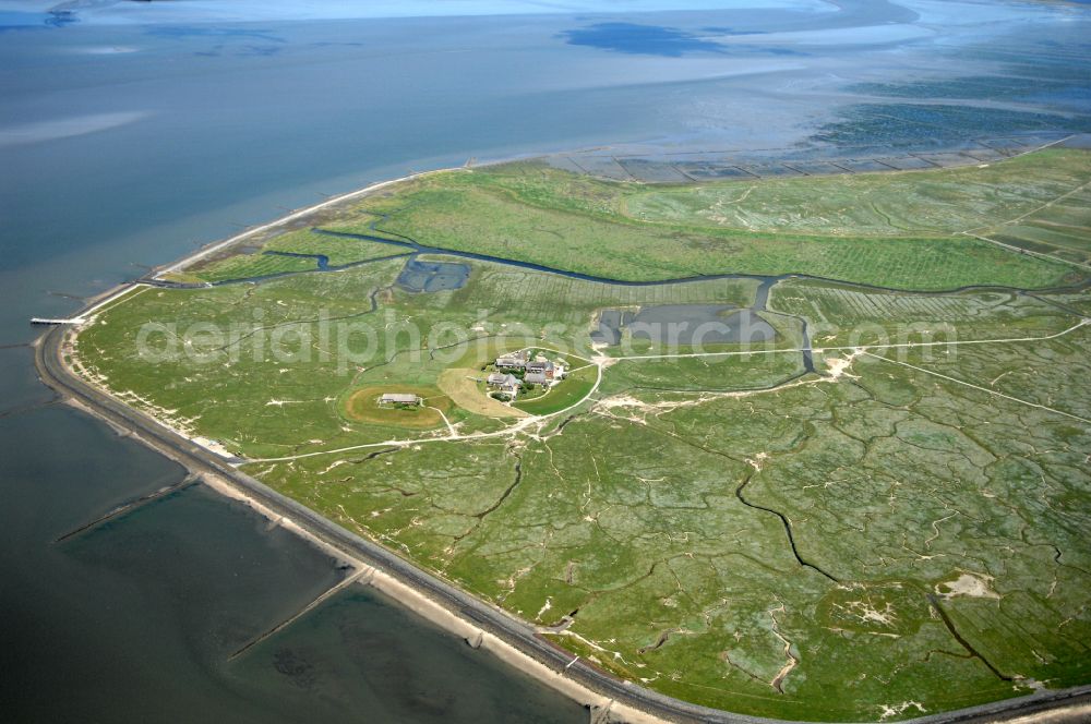 Aerial photograph Hooge - Green space structures a Hallig Landscape on street Hanswarft in Hooge North Friesland in the state Schleswig-Holstein, Germany