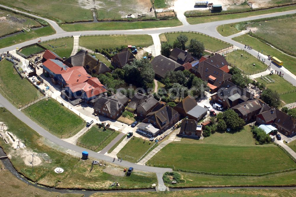 Aerial image Hooge - Green space structures a Hallig Landscape on street Hanswarft in Hooge North Friesland in the state Schleswig-Holstein, Germany