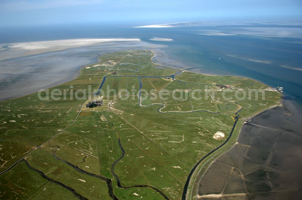 Aerial image Hooge - Green space structures a Hallig Landscape on street Hanswarft in Hooge North Friesland in the state Schleswig-Holstein, Germany