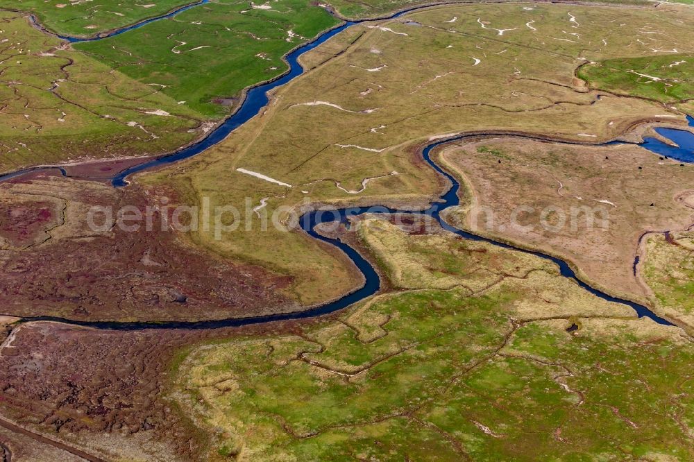 Langeneß from above - Green space structures a Hallig Landscape in Langeness North Frisia in the state Schleswig-Holstein, Germany