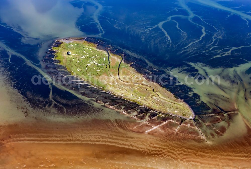 Hooge from the bird's eye view: Hallig landscape Norderoog in Hooge in the state Schleswig-Holstein, Germany