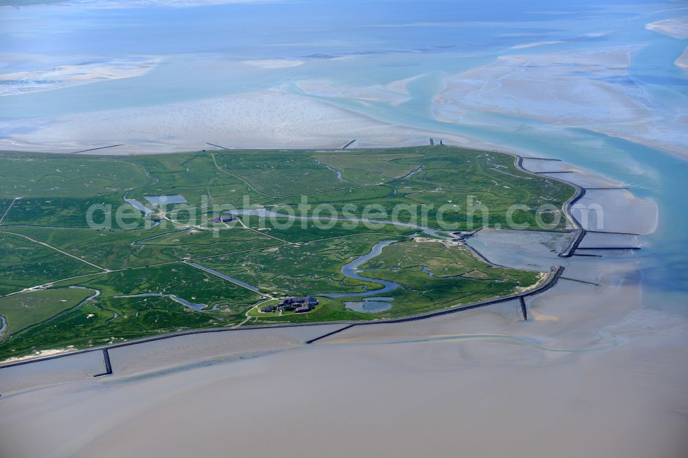 Aerial photograph Langeneß - Green space structures a Hallig Landscape the North Sea island in Langeness North Friesland in the state Schleswig-Holstein, Germany