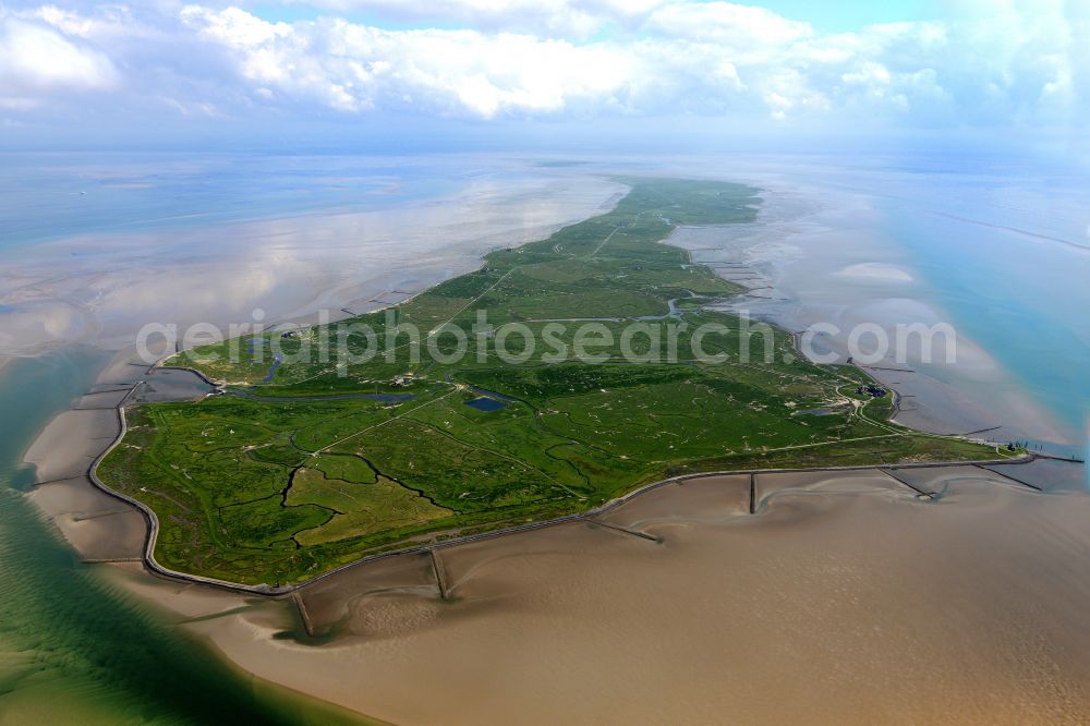 Langeneß from the bird's eye view: Green space structures a Hallig Landscape the North Sea island in Langeness North Friesland in the state Schleswig-Holstein, Germany