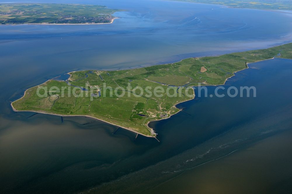 Langeneß from the bird's eye view: Green space structures a Hallig Landscape the North Sea island in Langeness North Friesland in the state Schleswig-Holstein, Germany